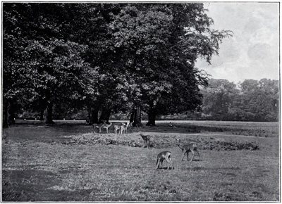 Richmond Park